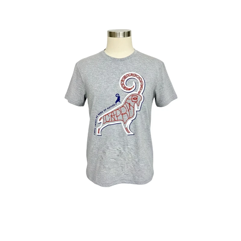 CHINEE-Short-sleeved-crew-neck-T-shirt-made-from-TC-no.34S-J150-160gsm-fabric-in-gray-with-a-printed-design-on-the-front.-82-gray